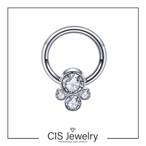 Piercing Aro BCR y cluster zirconias